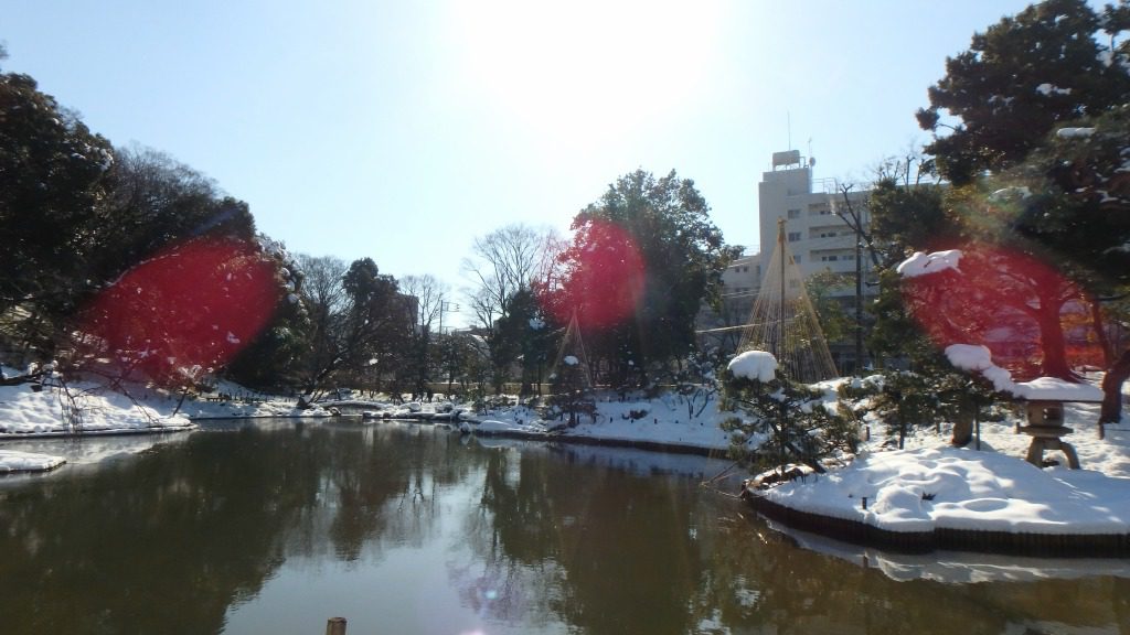 雪の日本庭園 肥後細川庭園