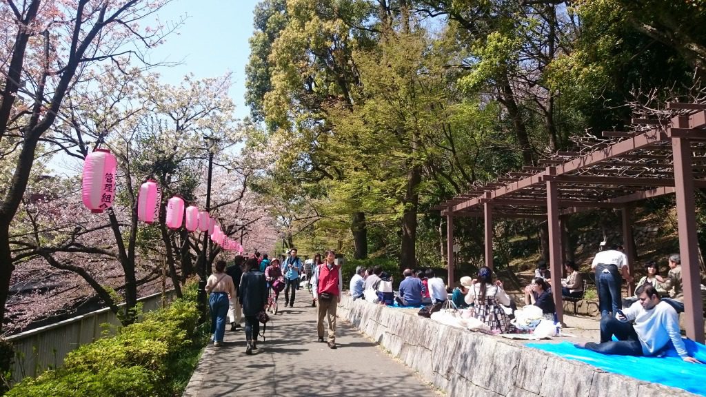 江戸川公園がリニューアルしました 肥後細川庭園