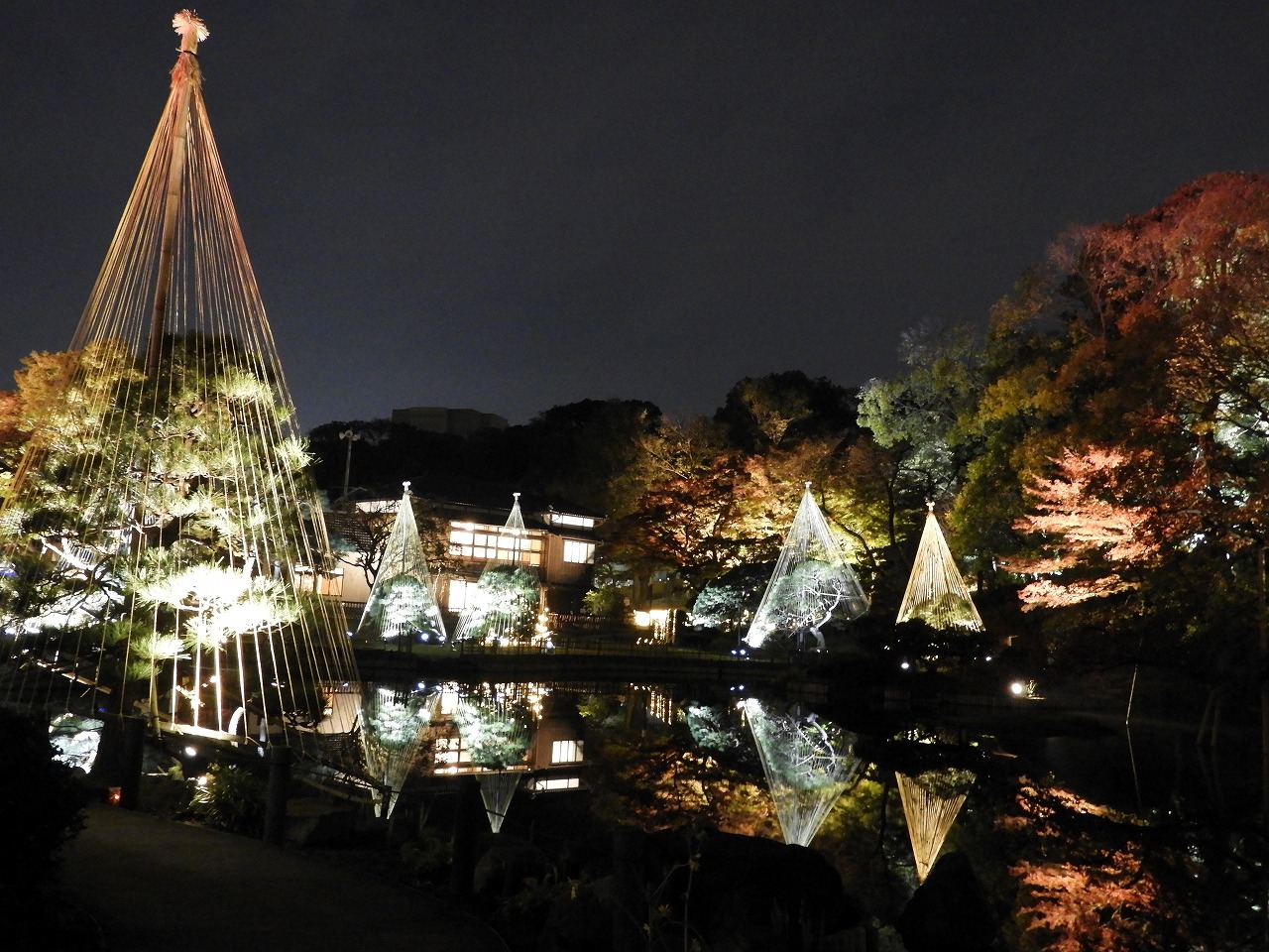 秋の紅葉ライトアップ ひごあかりー 肥後細川庭園