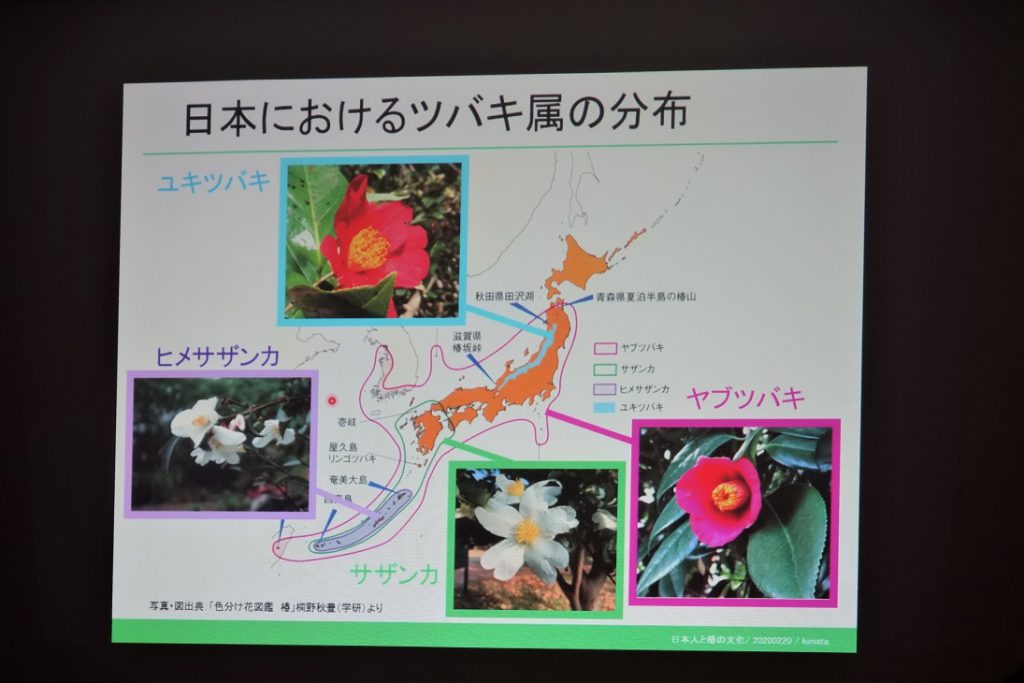 庭cafeトーク Vol 10 日本人と椿の文化 を開催しました 肥後細川庭園